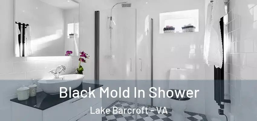 Black Mold In Shower Lake Barcroft - VA