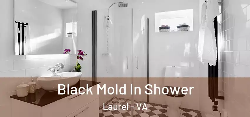  Black Mold In Shower Laurel - VA