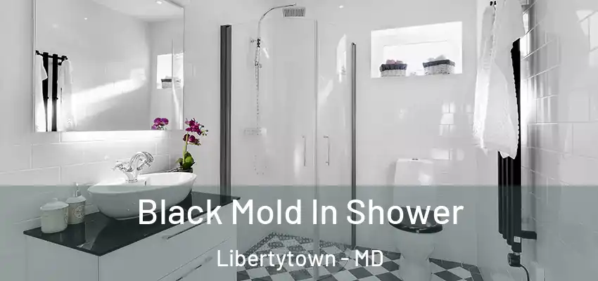  Black Mold In Shower Libertytown - MD
