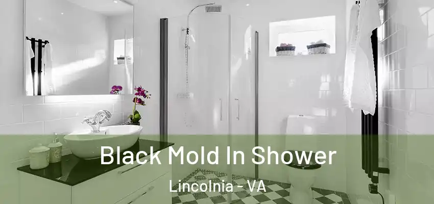  Black Mold In Shower Lincolnia - VA