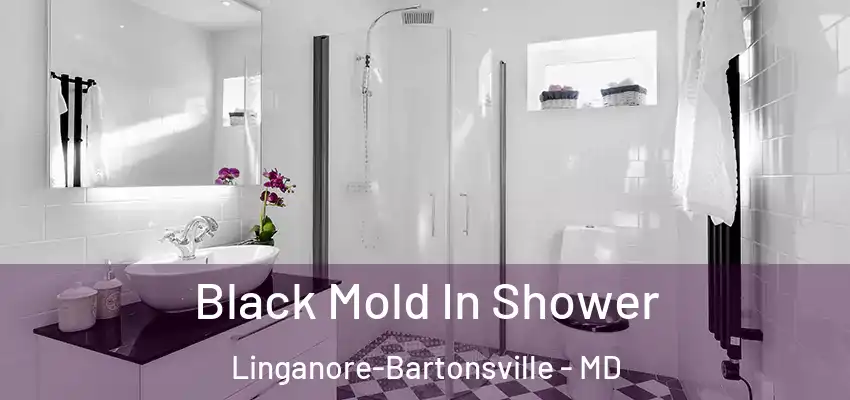  Black Mold In Shower Linganore-Bartonsville - MD