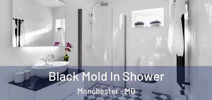 Black Mold In Shower Manchester - MD