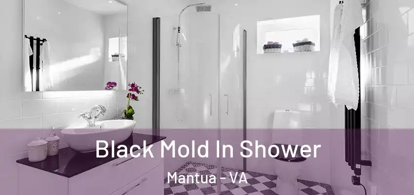 Black Mold In Shower Mantua - VA