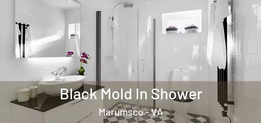  Black Mold In Shower Marumsco - VA