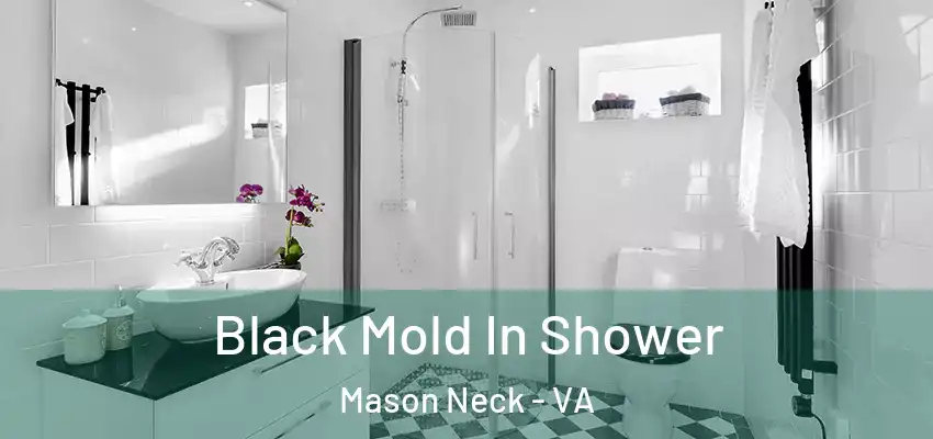  Black Mold In Shower Mason Neck - VA