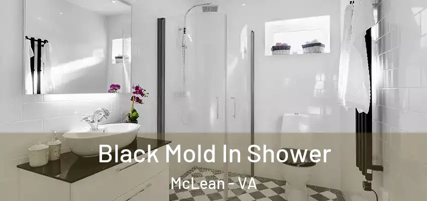 Black Mold In Shower McLean - VA