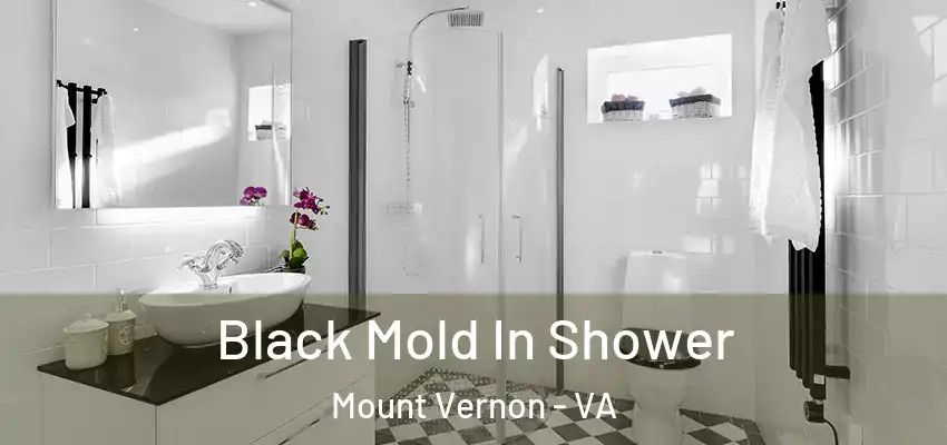  Black Mold In Shower Mount Vernon - VA