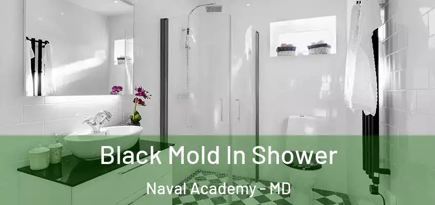 Black Mold In Shower Naval Academy - MD
