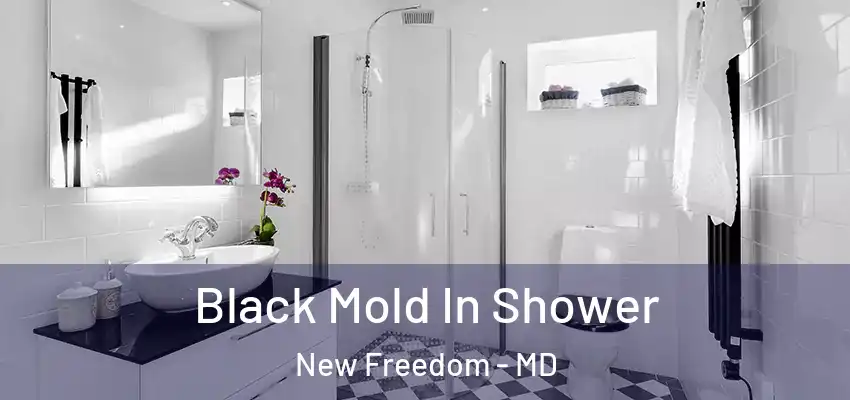  Black Mold In Shower New Freedom - MD