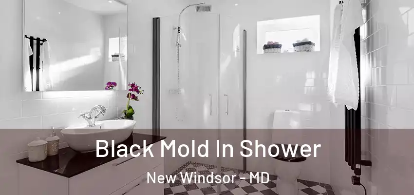 Black Mold In Shower New Windsor - MD