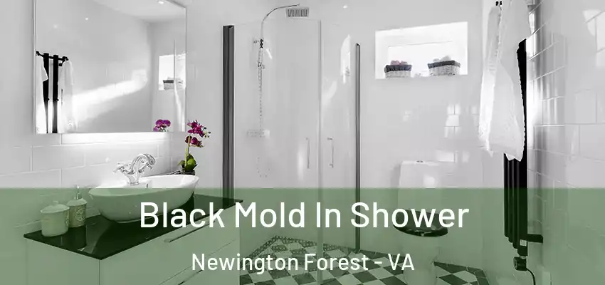  Black Mold In Shower Newington Forest - VA