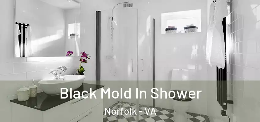  Black Mold In Shower Norfolk - VA