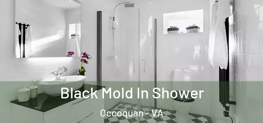 Black Mold In Shower Occoquan - VA
