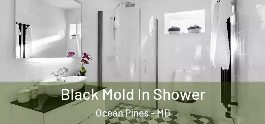  Black Mold In Shower Ocean Pines - MD