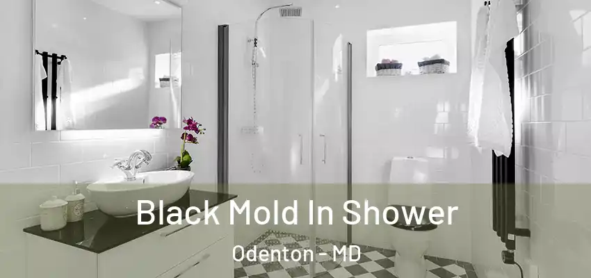Black Mold In Shower Odenton - MD