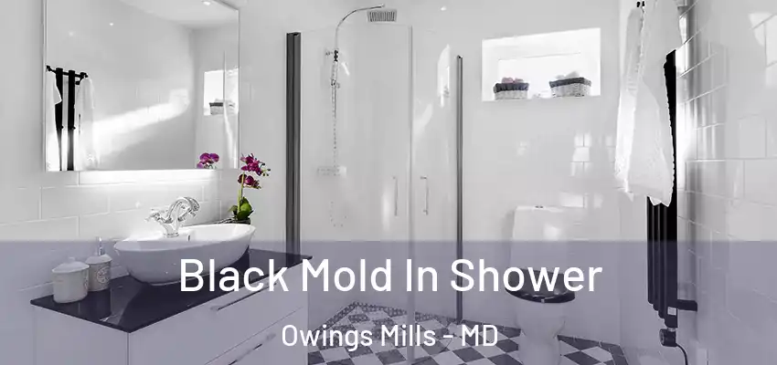 Black Mold In Shower Owings Mills - MD