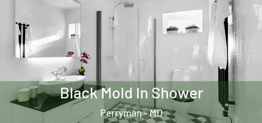  Black Mold In Shower Perryman - MD