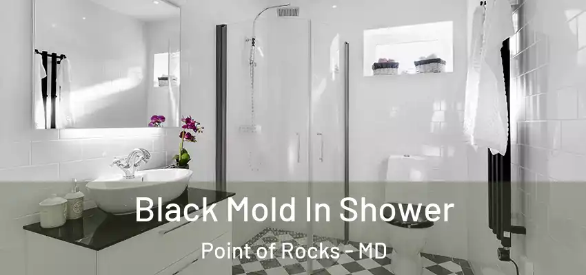  Black Mold In Shower Point of Rocks - MD