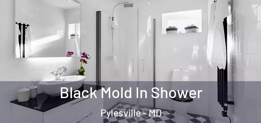 Black Mold In Shower Pylesville - MD