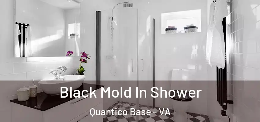 Black Mold In Shower Quantico Base - VA
