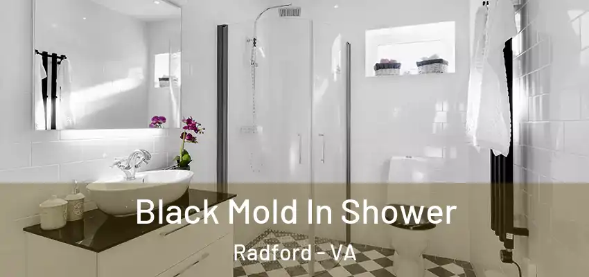 Black Mold In Shower Radford - VA