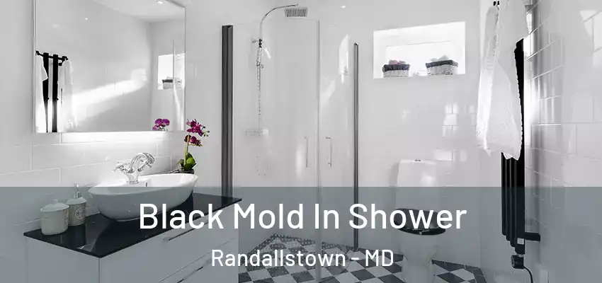 Black Mold In Shower Randallstown - MD