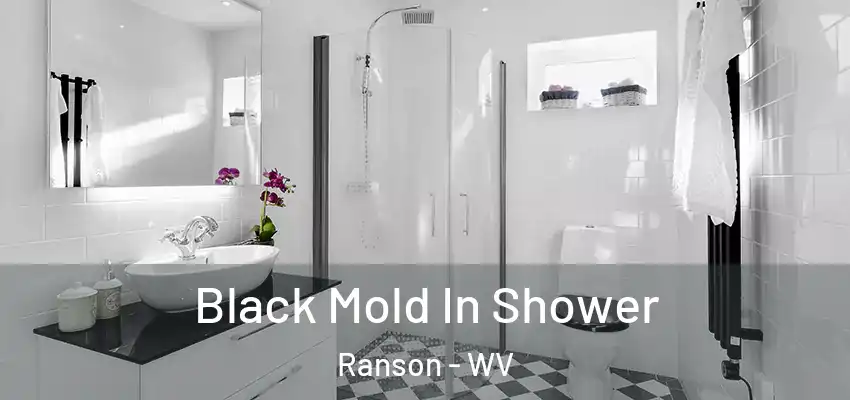 Black Mold In Shower Ranson - WV