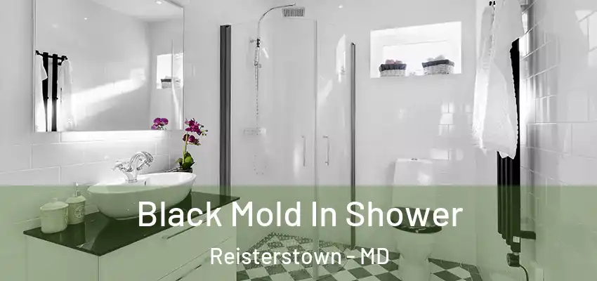 Black Mold In Shower Reisterstown - MD