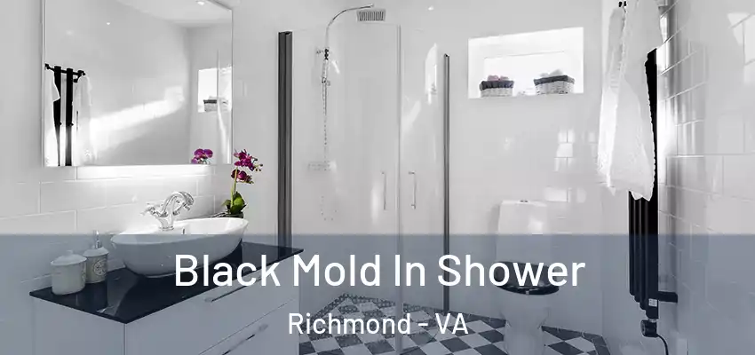  Black Mold In Shower Richmond - VA