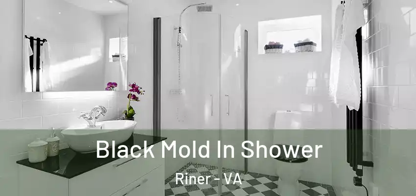 Black Mold In Shower Riner - VA