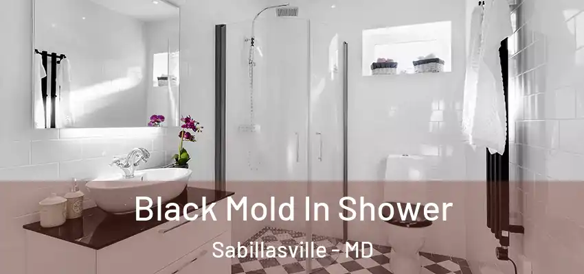  Black Mold In Shower Sabillasville - MD