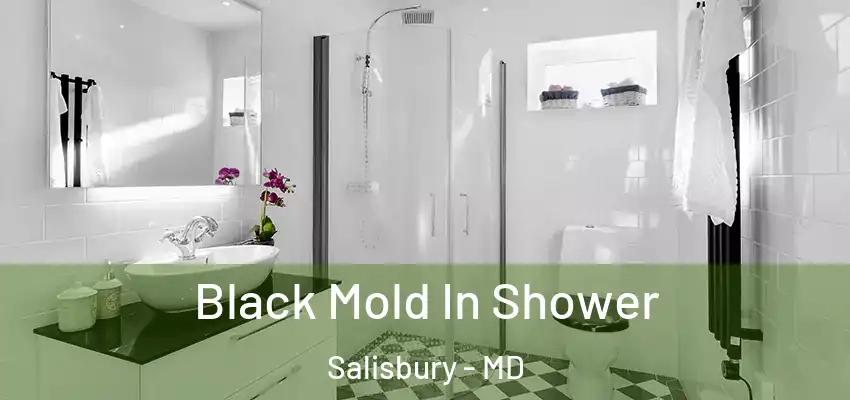  Black Mold In Shower Salisbury - MD