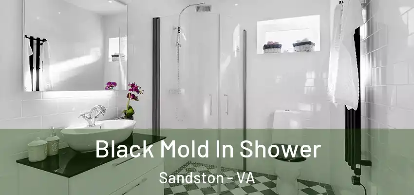 Black Mold In Shower Sandston - VA