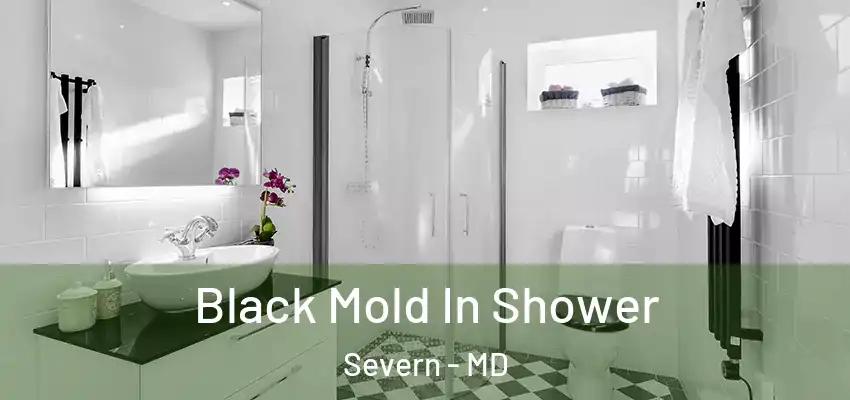 Black Mold In Shower Severn - MD