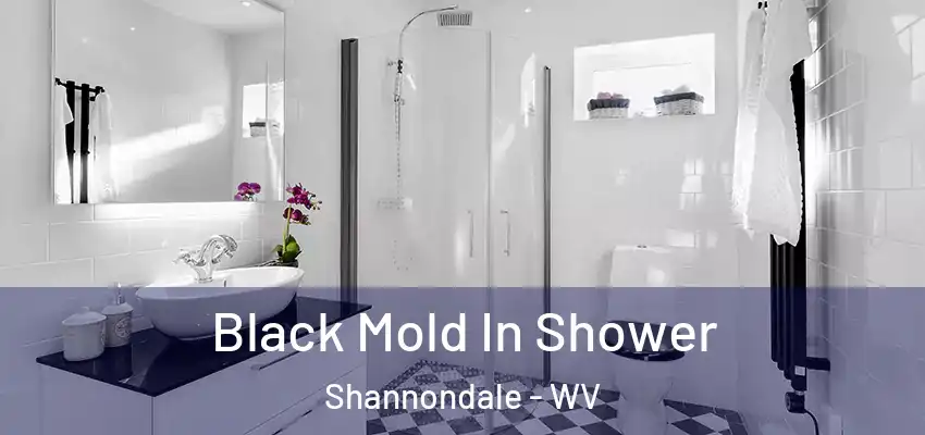 Black Mold In Shower Shannondale - WV