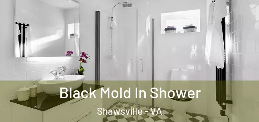  Black Mold In Shower Shawsville - VA