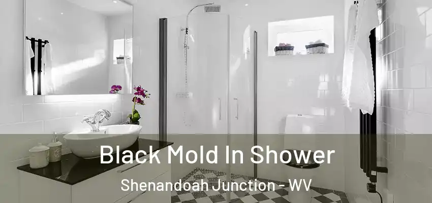  Black Mold In Shower Shenandoah Junction - WV