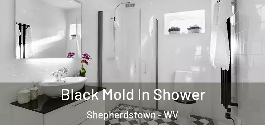 Black Mold In Shower Shepherdstown - WV