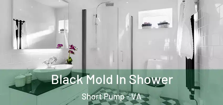  Black Mold In Shower Short Pump - VA