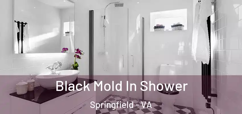  Black Mold In Shower Springfield - VA