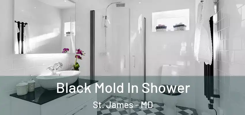 Black Mold In Shower St. James - MD