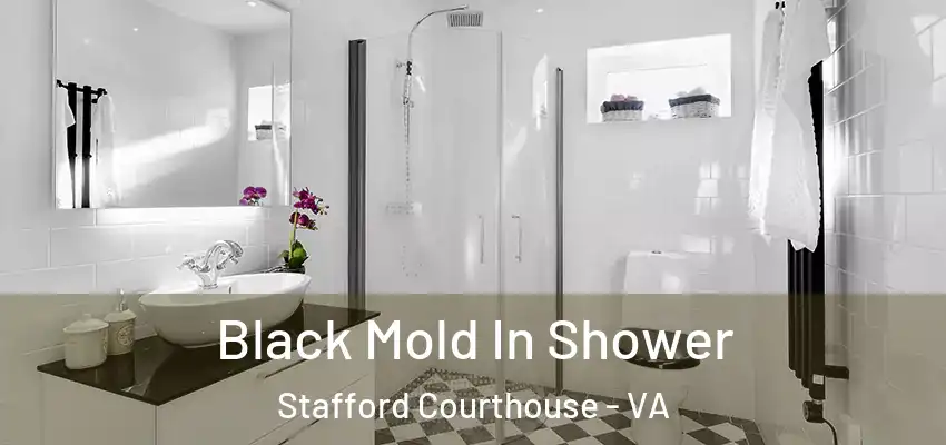 Black Mold In Shower Stafford Courthouse - VA