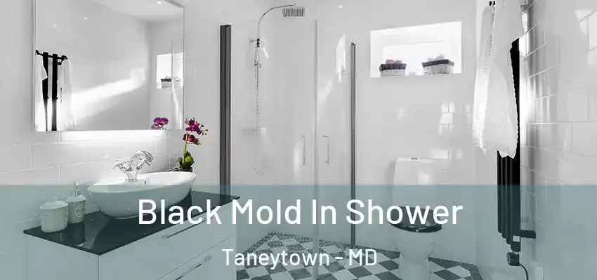 Black Mold In Shower Taneytown - MD
