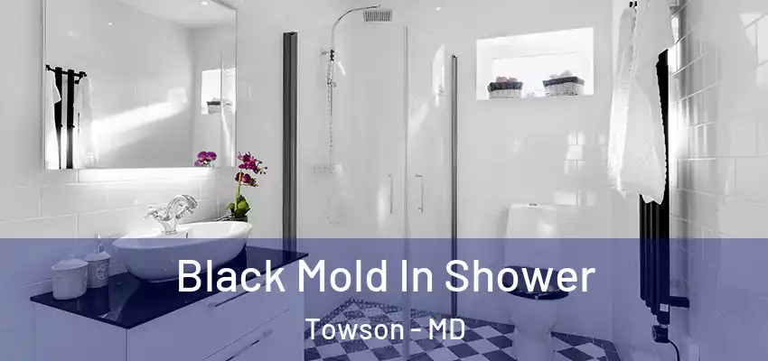  Black Mold In Shower Towson - MD