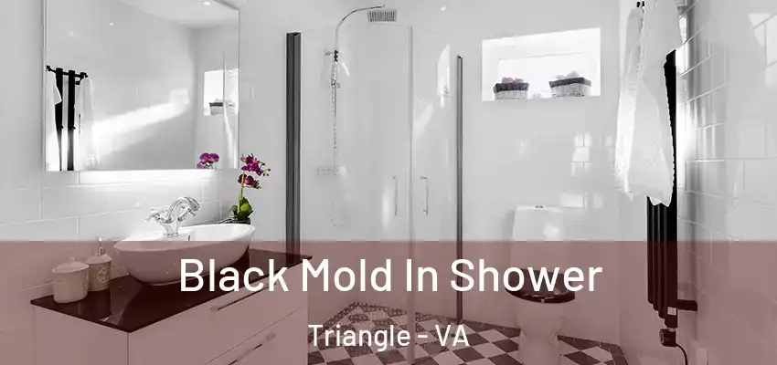 Black Mold In Shower Triangle - VA