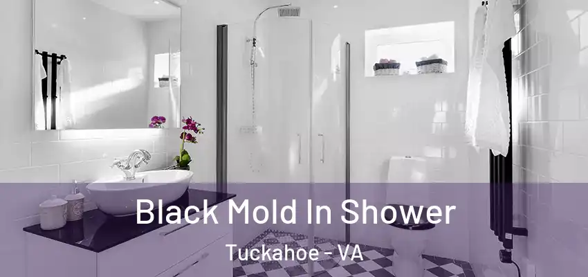 Black Mold In Shower Tuckahoe - VA