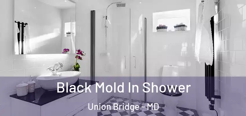 Black Mold In Shower Union Bridge - MD