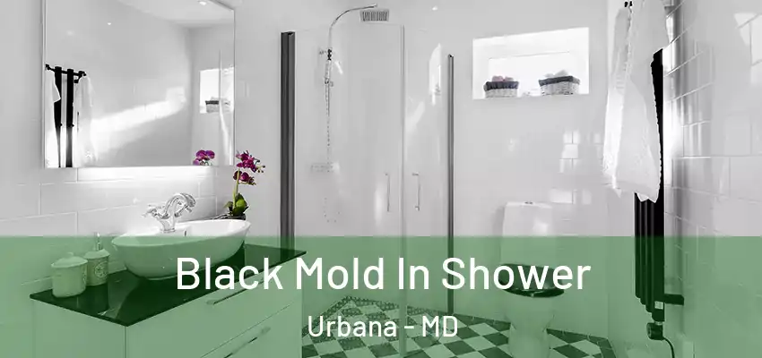  Black Mold In Shower Urbana - MD