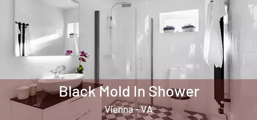 Black Mold In Shower Vienna - VA