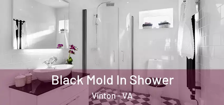  Black Mold In Shower Vinton - VA